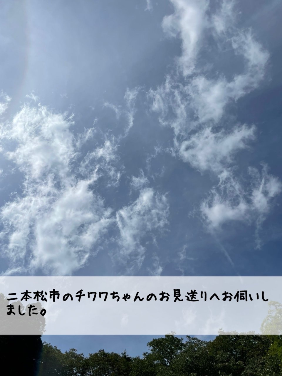 ペット訪問火葬 一縁(いちえん) | 福島市・葬儀・出張・供養