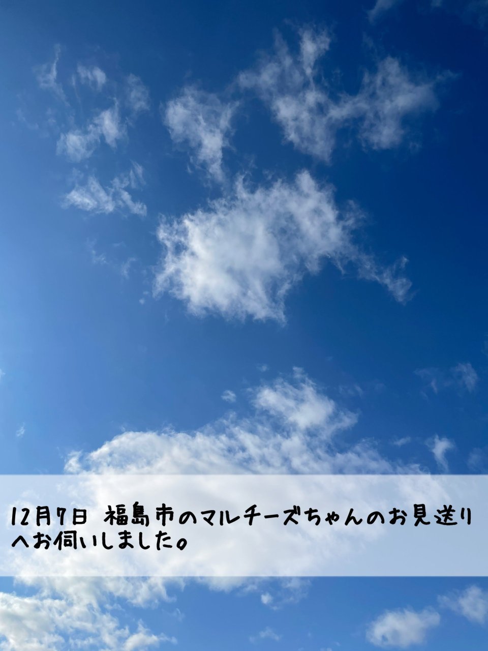 ペット訪問火葬 一縁(いちえん) | 福島市・葬儀・出張・供養