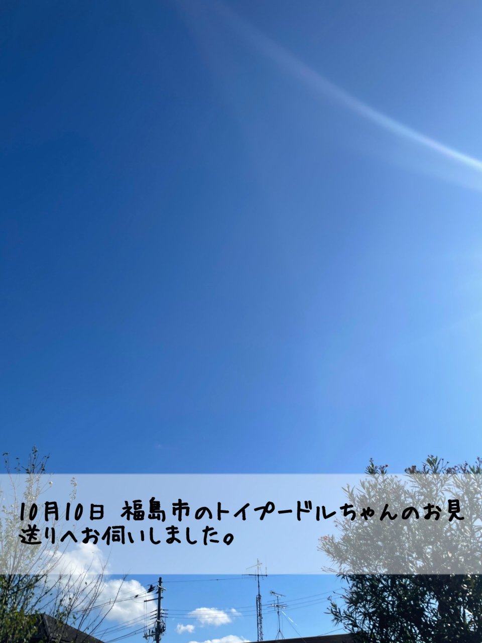 ペット訪問火葬 一縁(いちえん) | 福島市・葬儀・出張・供養