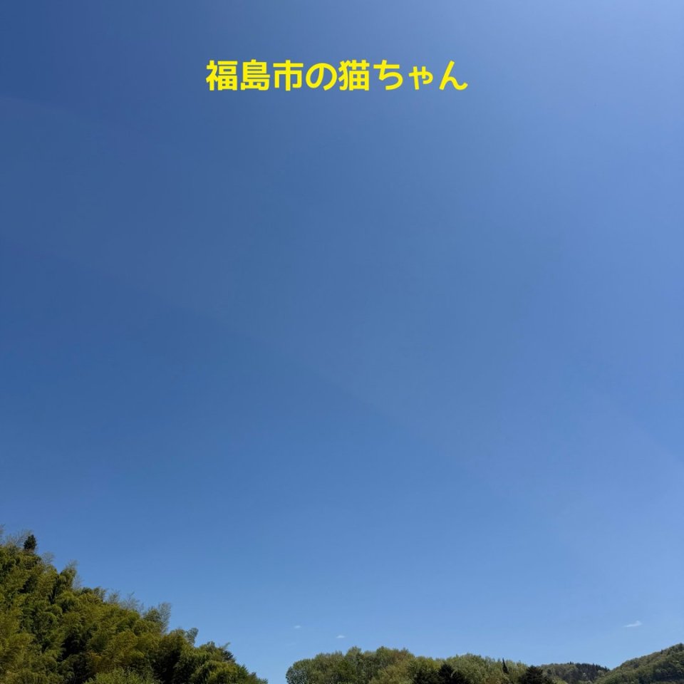 福島ペット訪問火葬 一縁(いちえん) | 葬儀・出張・供養