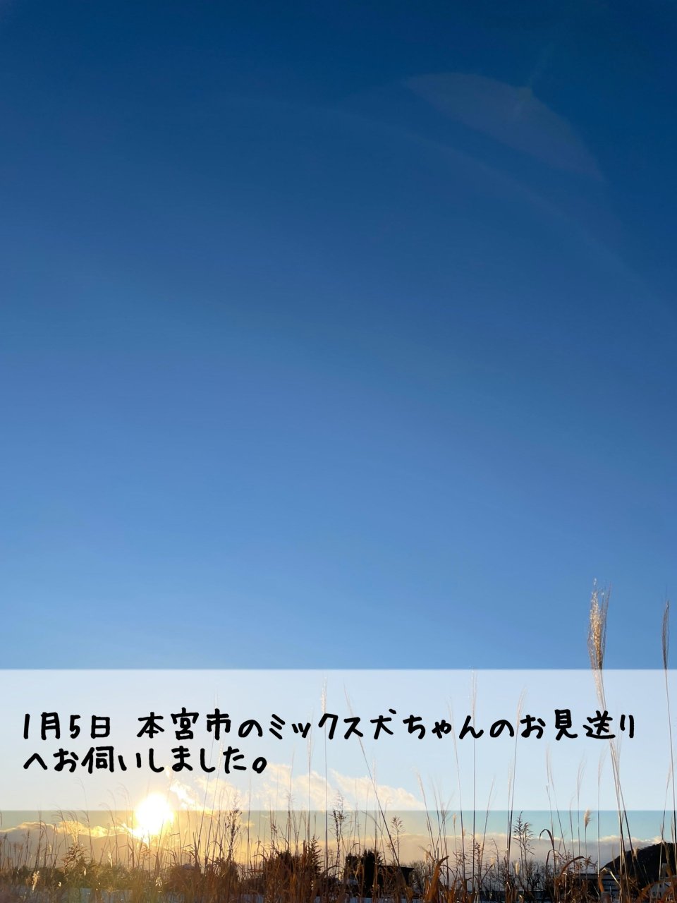 ペット訪問火葬 一縁(いちえん) | 福島市・葬儀・出張・供養