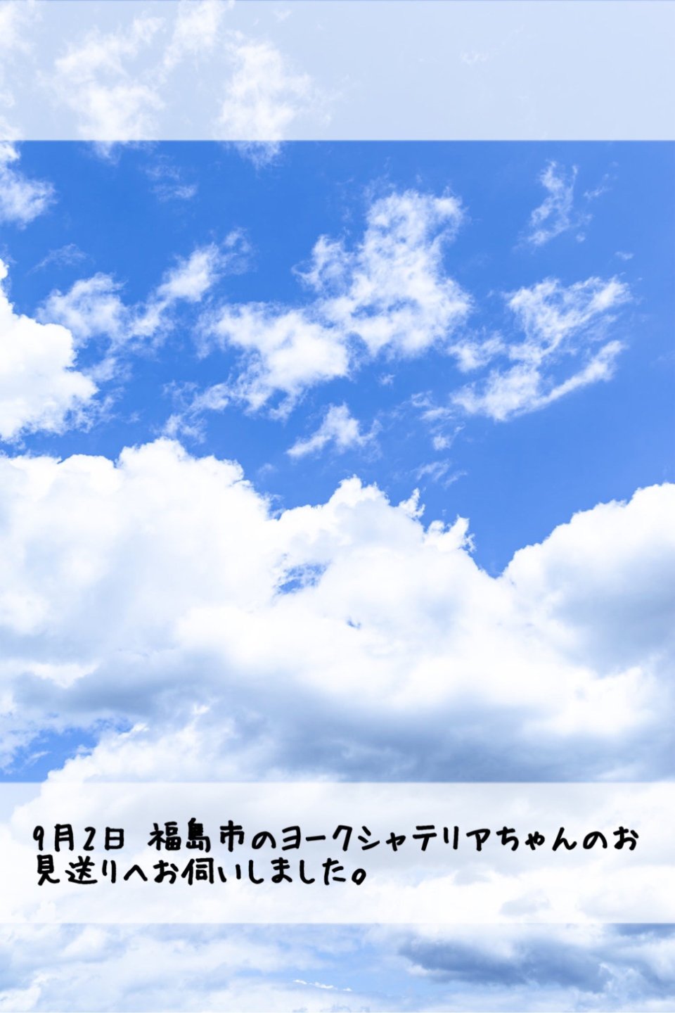 ペット訪問火葬 一縁(いちえん) | 福島市・葬儀・出張・供養