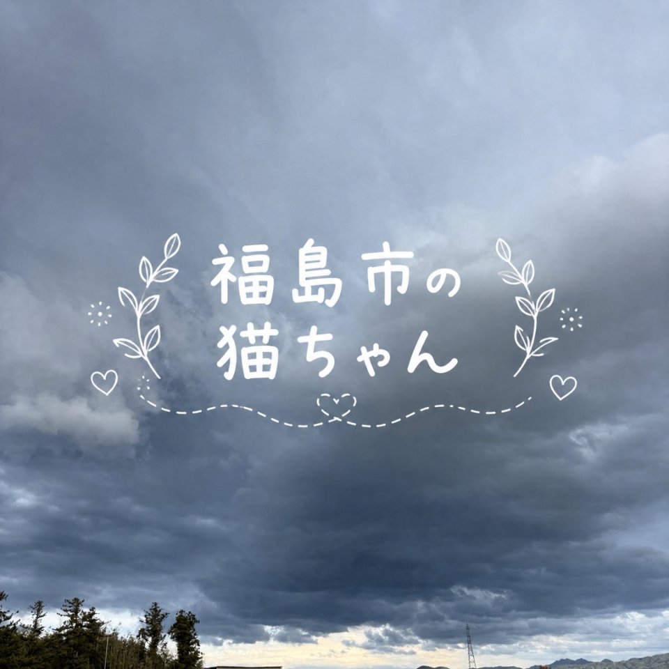 福島ペット訪問火葬 一縁(いちえん) | 葬儀・出張・供養