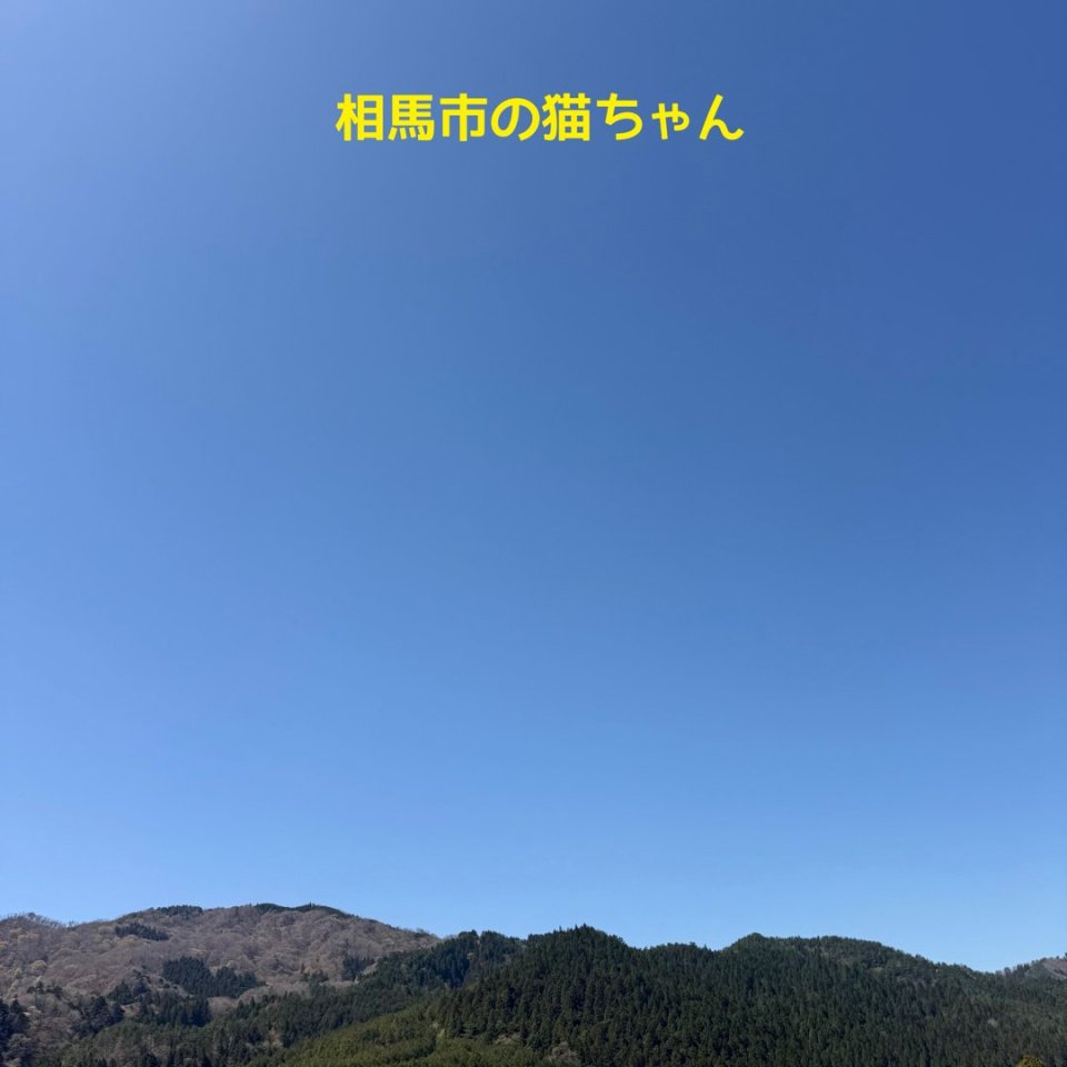 福島ペット訪問火葬 一縁(いちえん) | 葬儀・出張・供養