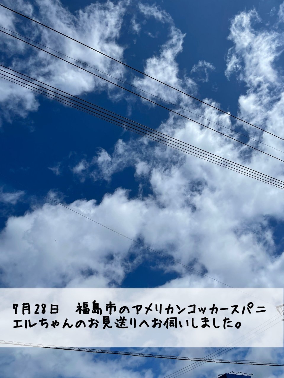 ペット訪問火葬 一縁(いちえん) | 福島市・葬儀・出張・供養