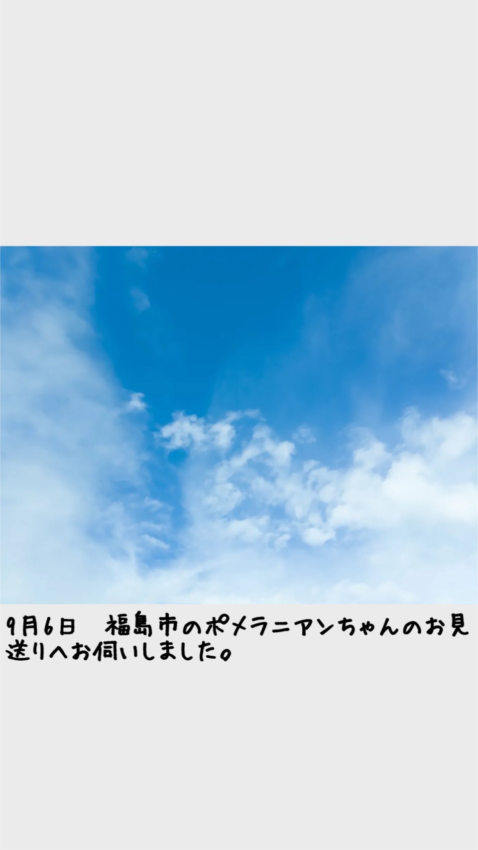 ペット訪問火葬 一縁(いちえん) | 福島市・葬儀・出張・供養