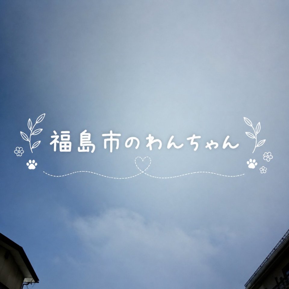 福島ペット訪問火葬 一縁(いちえん) | 葬儀・出張・供養