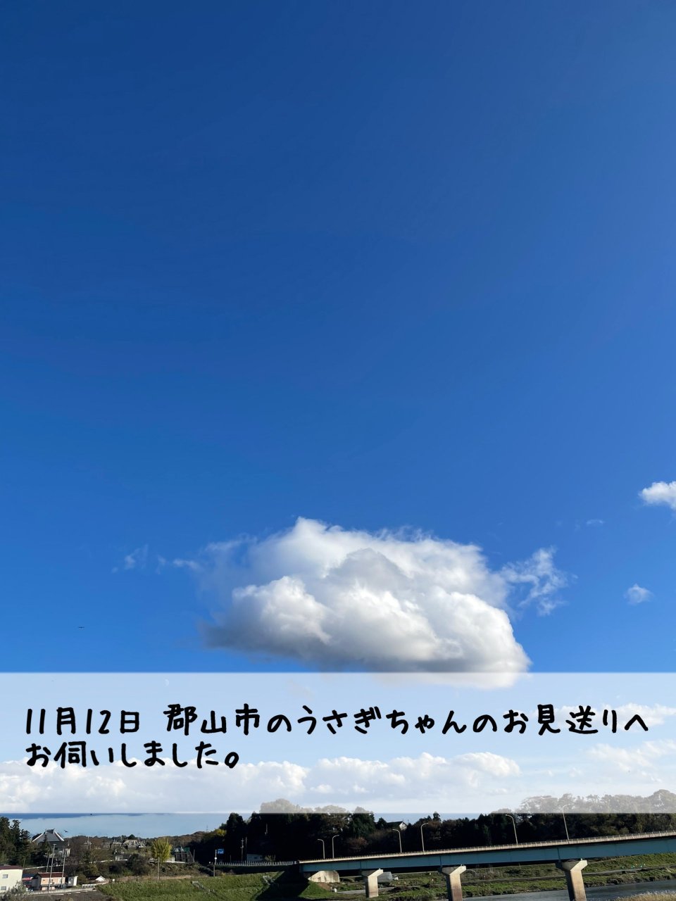 ペット訪問火葬 一縁(いちえん) | 福島市・葬儀・出張・供養
