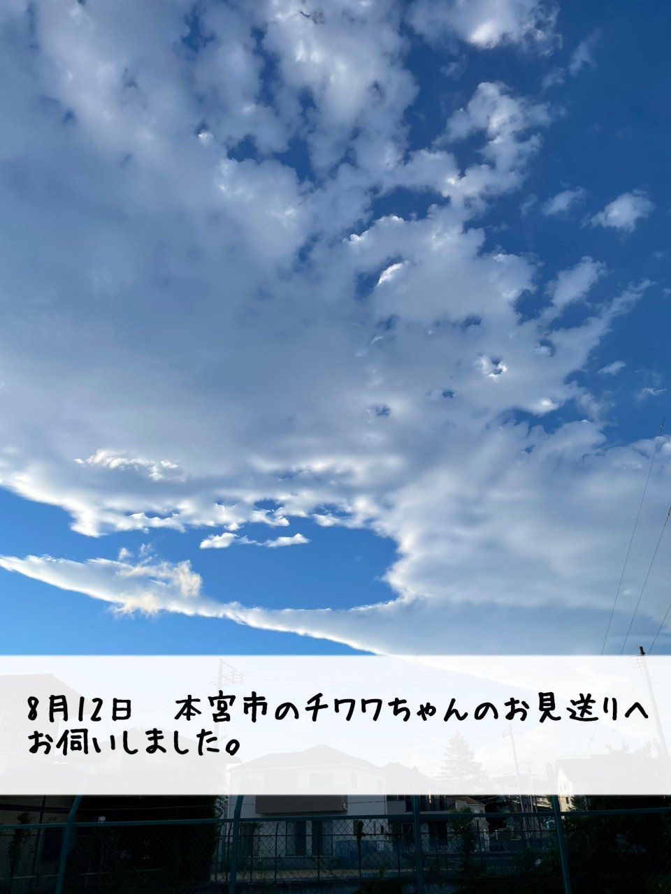 ペット訪問火葬 一縁(いちえん) | 福島市・葬儀・出張・供養