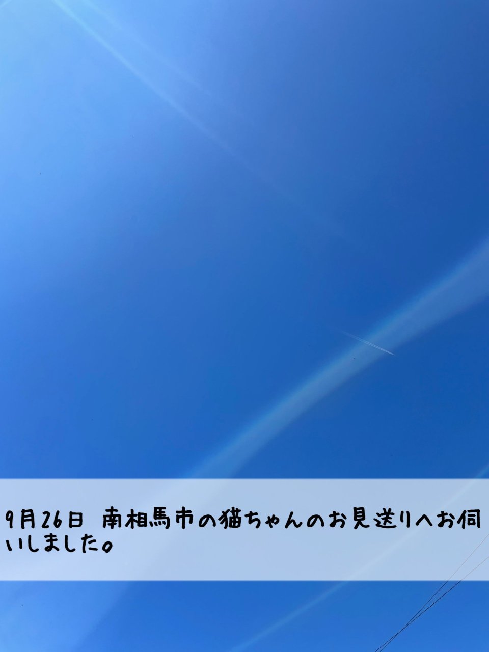 ペット訪問火葬 一縁(いちえん) | 福島市・葬儀・出張・供養