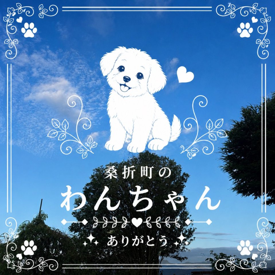 福島ペット訪問火葬 一縁(いちえん) | 葬儀・出張・供養