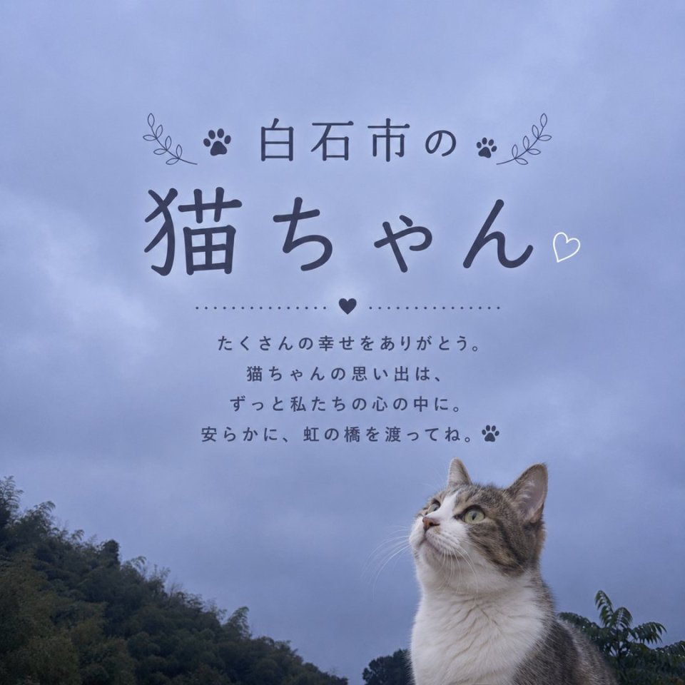 福島ペット訪問火葬 一縁(いちえん) | 葬儀・出張・供養