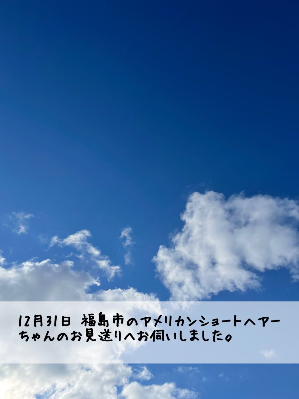 ペット訪問火葬 一縁(いちえん) | 福島市・葬儀・出張・供養