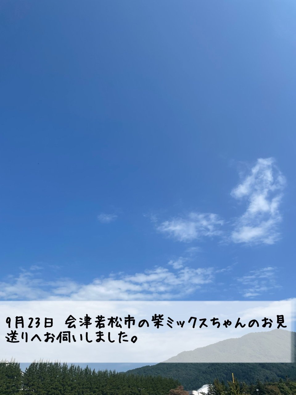 ペット訪問火葬 一縁(いちえん) | 福島市・葬儀・出張・供養