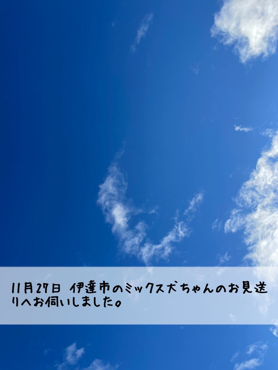 ペット訪問火葬 一縁(いちえん) | 福島市・葬儀・出張・供養
