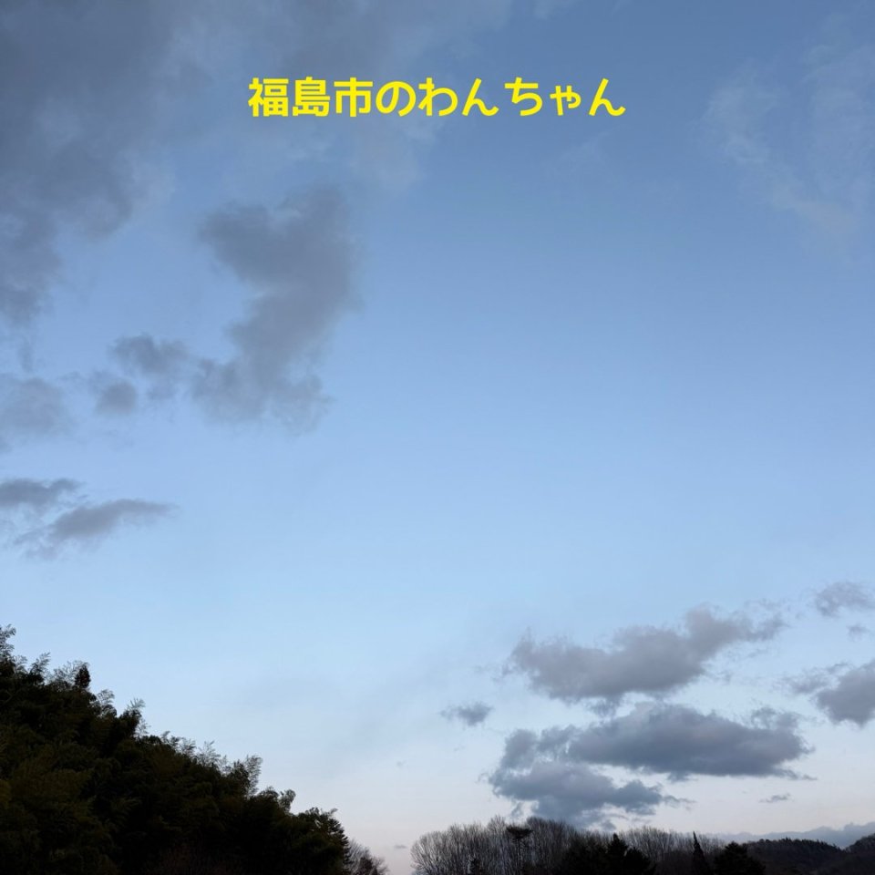 福島ペット訪問火葬 一縁(いちえん) | 葬儀・出張・供養