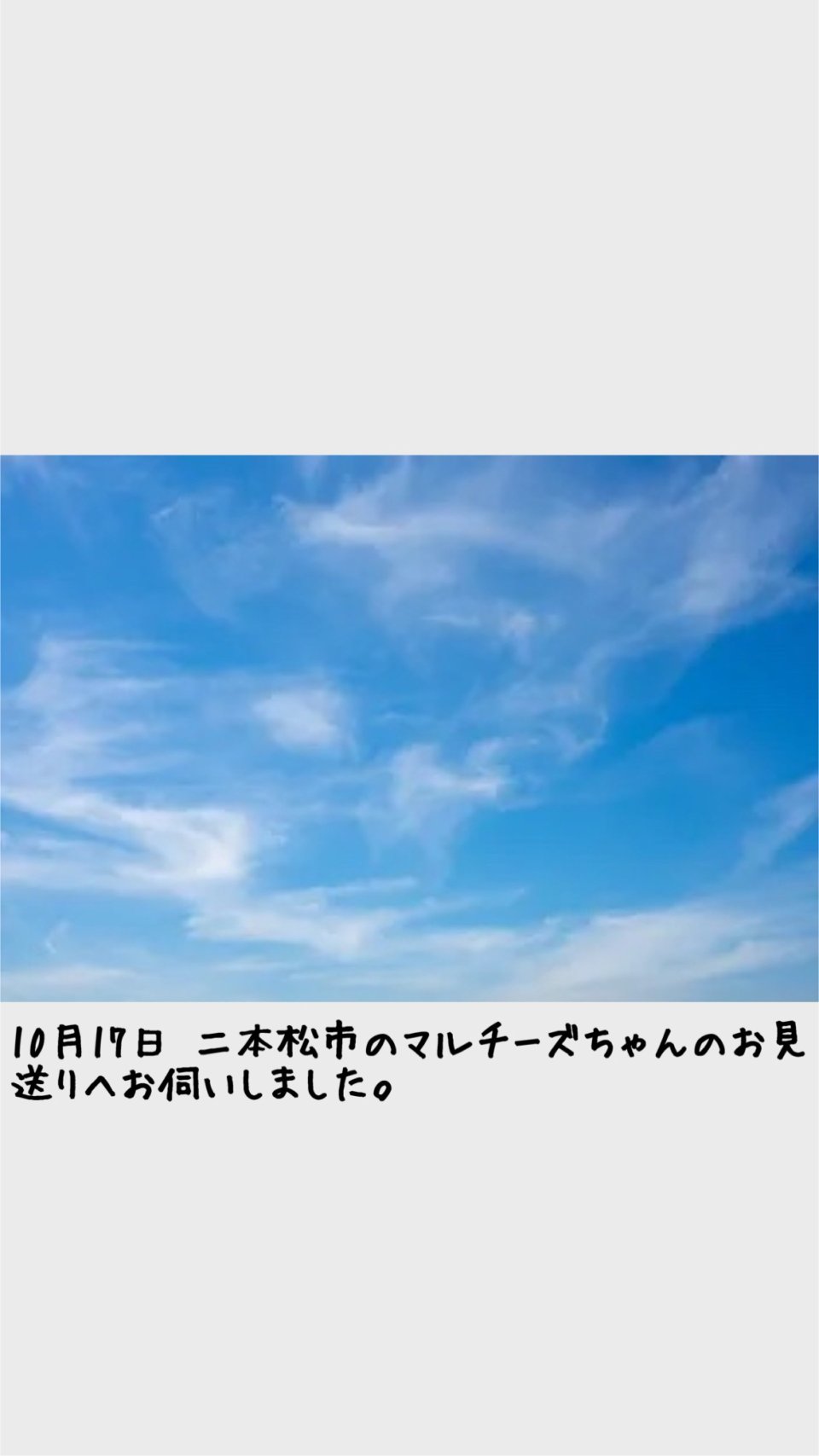 ペット訪問火葬 一縁(いちえん) | 福島市・葬儀・出張・供養
