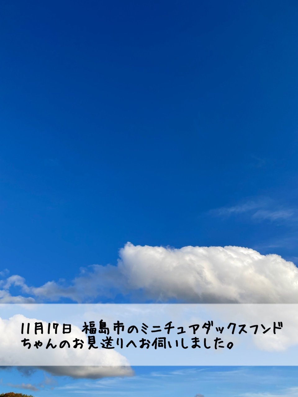 ペット訪問火葬 一縁(いちえん) | 福島市・葬儀・出張・供養