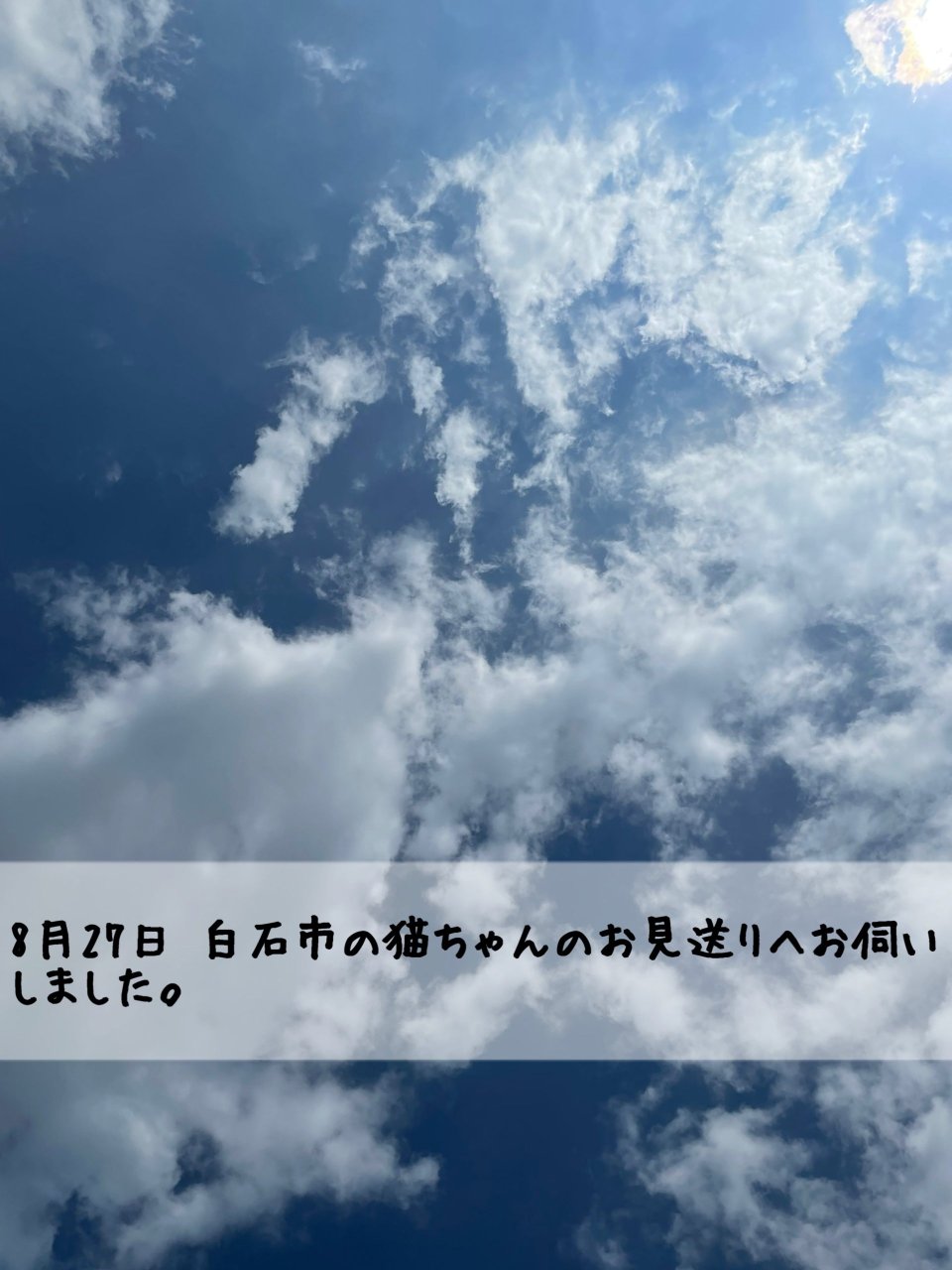 ペット訪問火葬 一縁(いちえん) | 福島市・葬儀・出張・供養