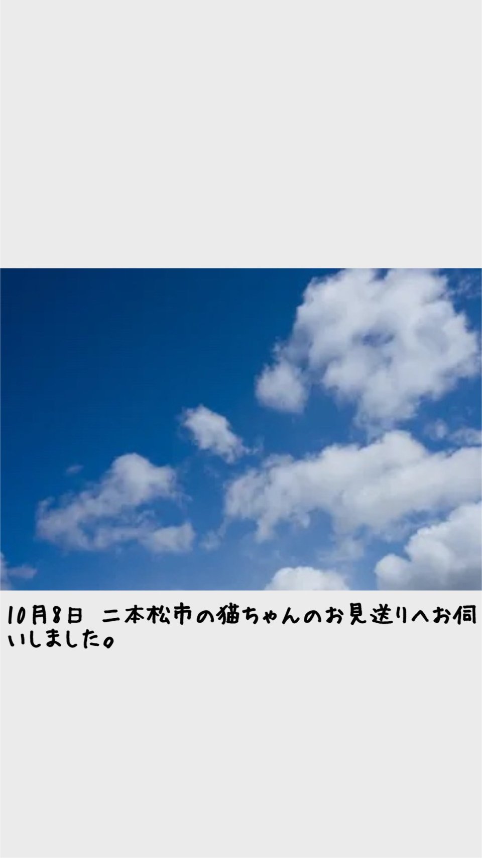 ペット訪問火葬 一縁(いちえん) | 福島市・葬儀・出張・供養