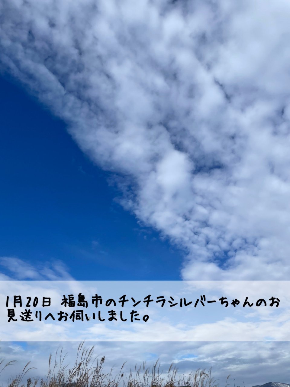 ペット訪問火葬 一縁(いちえん) | 福島市・葬儀・出張・供養