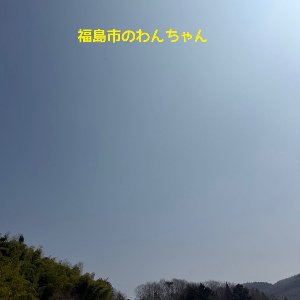 ペット訪問火葬 一縁(いちえん) | 福島市・葬儀・出張・供養
