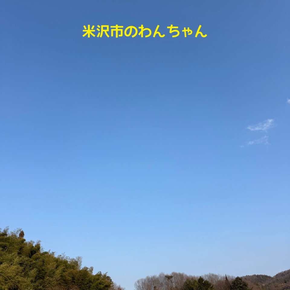 ペット訪問火葬 一縁(いちえん) | 福島市・葬儀・出張・供養