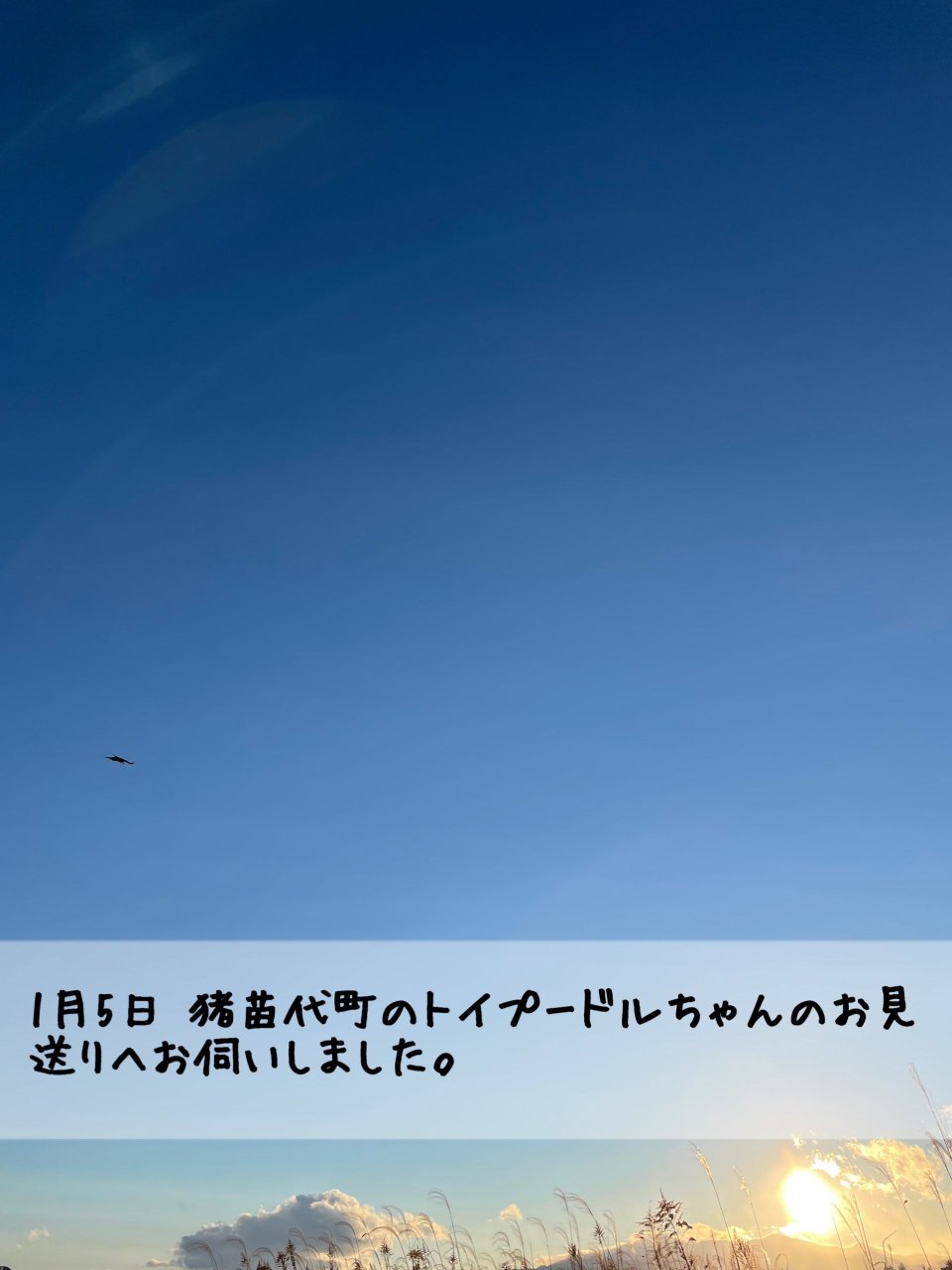 ペット訪問火葬 一縁(いちえん) | 福島市・葬儀・出張・供養