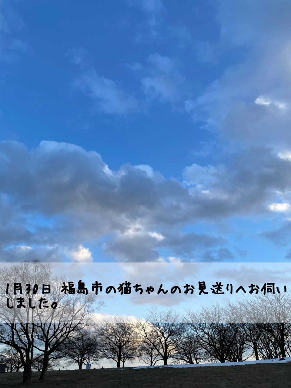 ペット訪問火葬 一縁(いちえん) | 福島市・葬儀・出張・供養