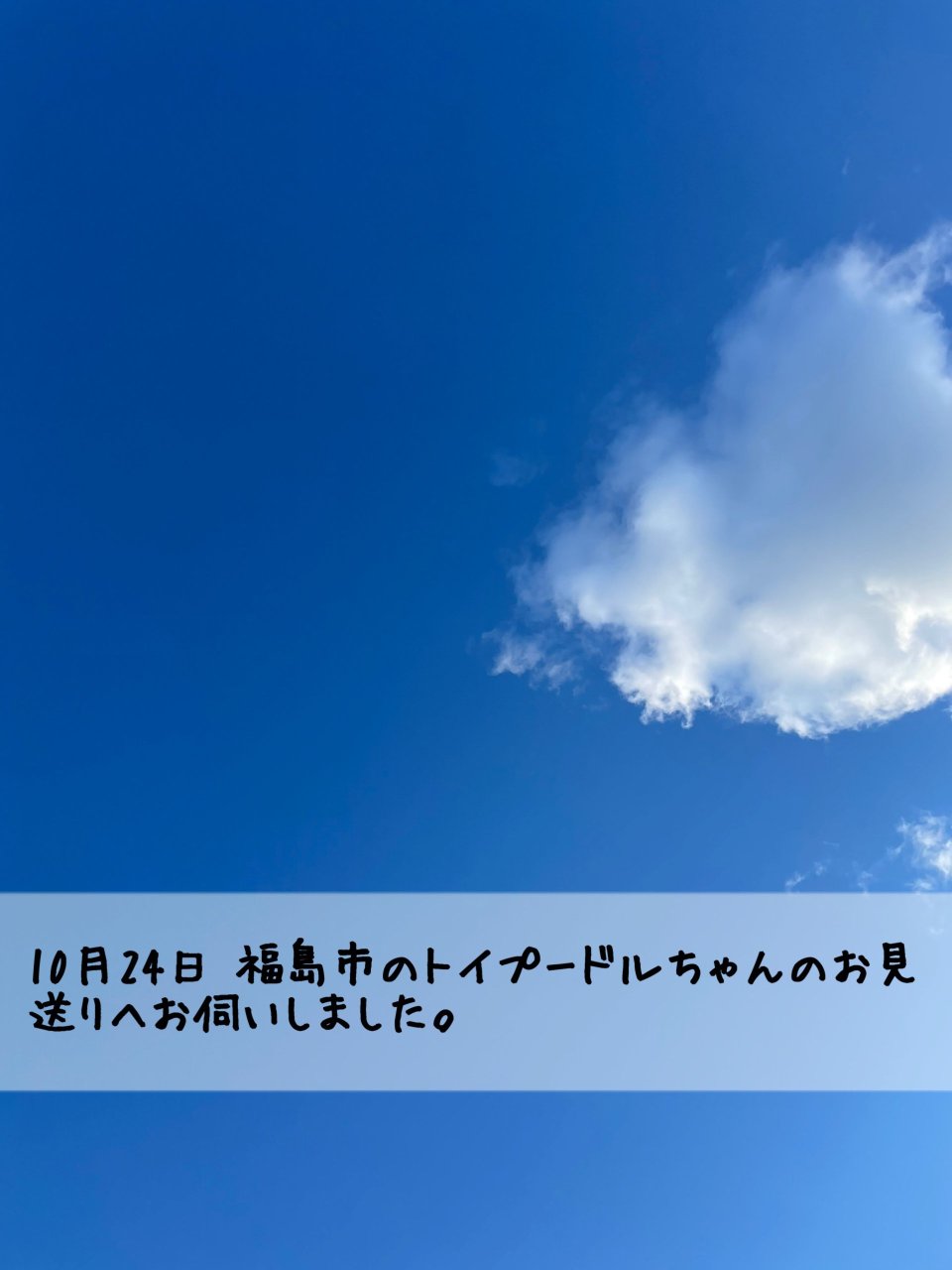 ペット訪問火葬 一縁(いちえん) | 福島市・葬儀・出張・供養