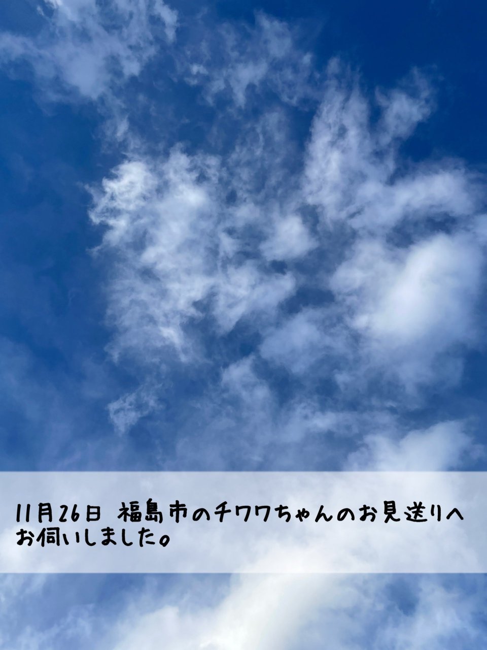 ペット訪問火葬 一縁(いちえん) | 福島市・葬儀・出張・供養
