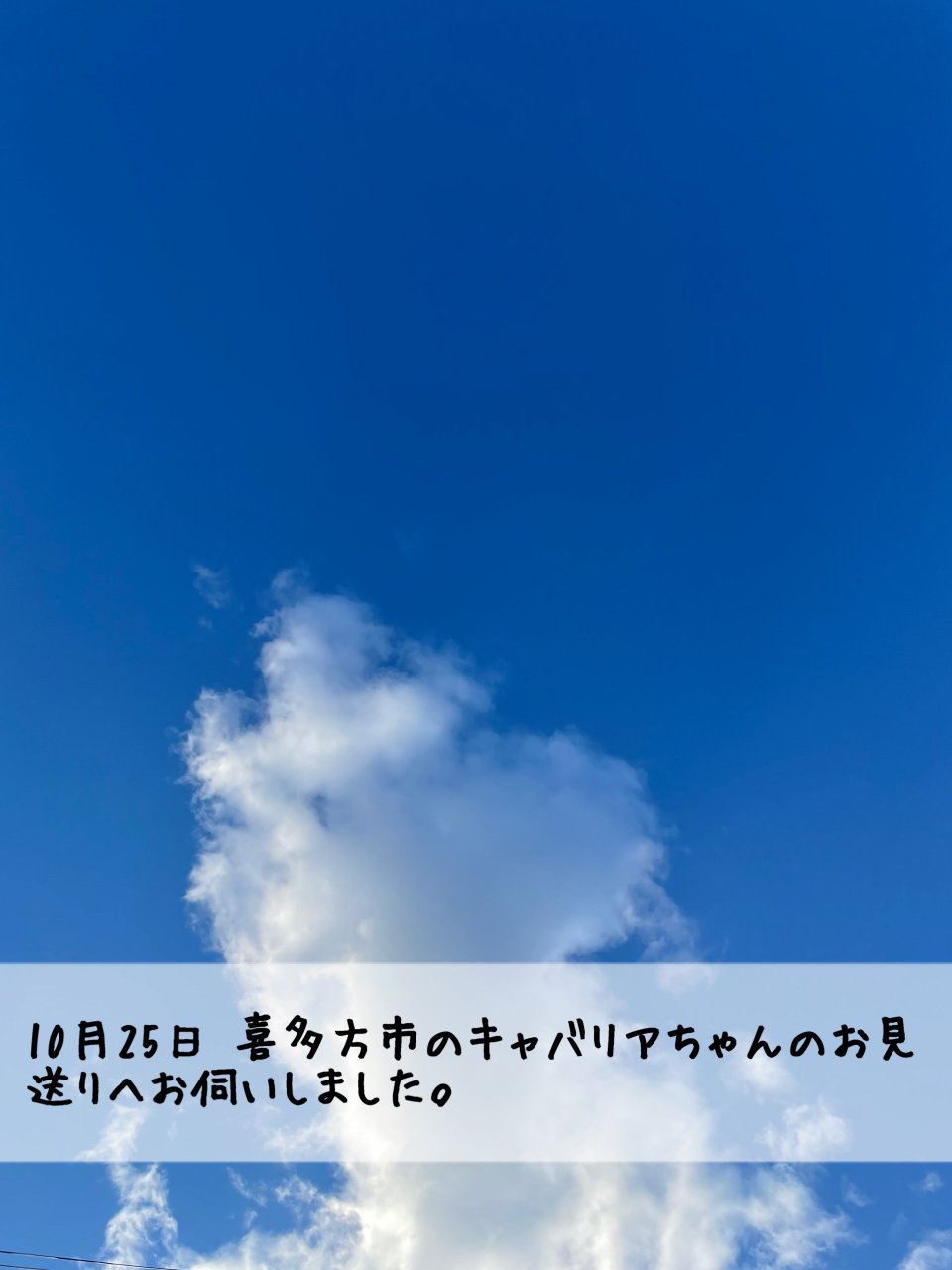 ペット訪問火葬 一縁(いちえん) | 福島市・葬儀・出張・供養