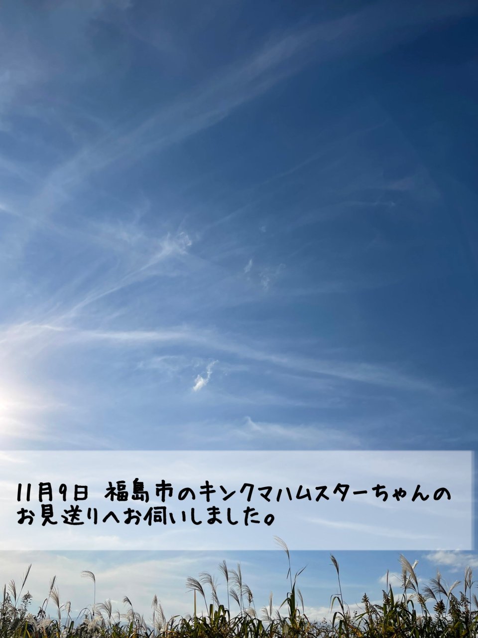 ペット訪問火葬 一縁(いちえん) | 福島市・葬儀・出張・供養