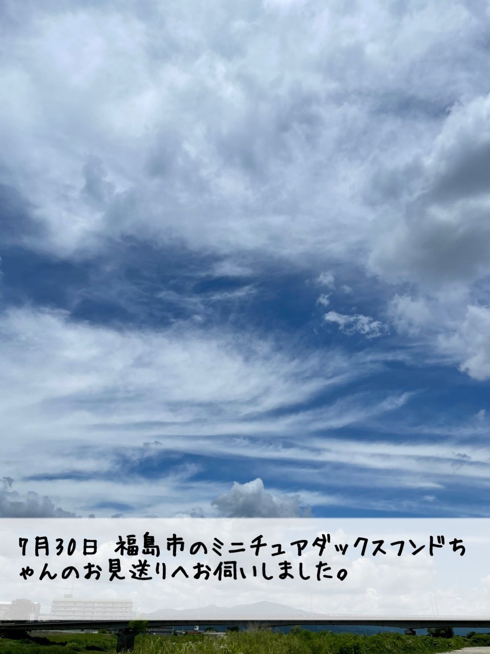 ペット訪問火葬 一縁(いちえん) | 福島市・葬儀・出張・供養