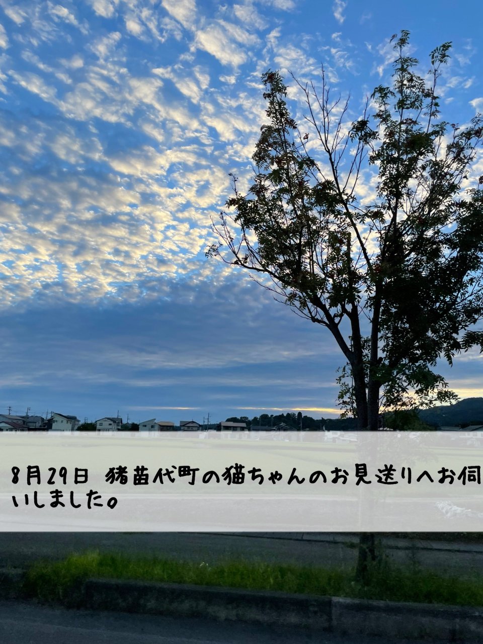 ペット訪問火葬 一縁(いちえん) | 福島市・葬儀・出張・供養