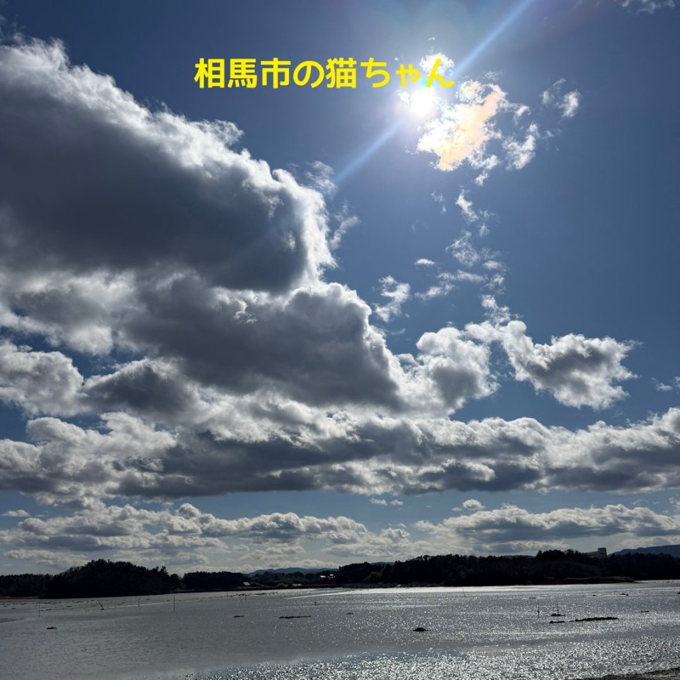 ペット訪問火葬 一縁(いちえん) | 福島市・葬儀・出張・供養