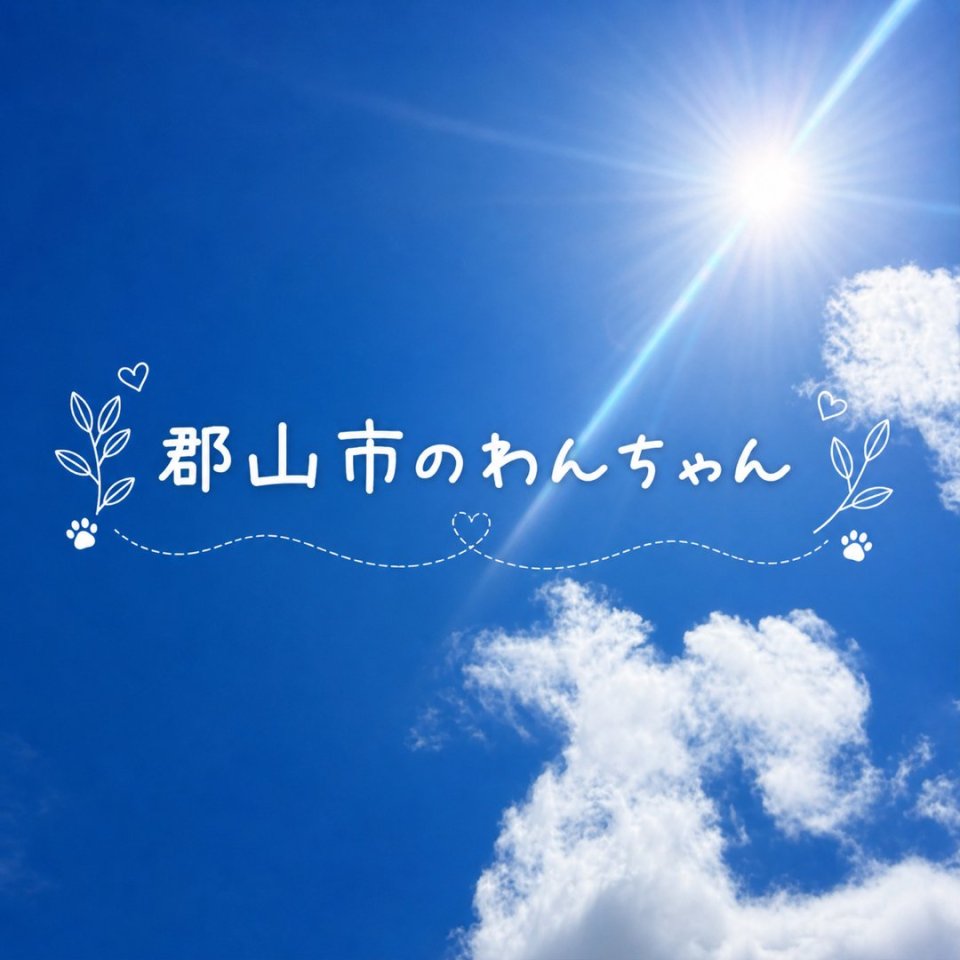 福島ペット訪問火葬 一縁(いちえん) | 葬儀・出張・供養