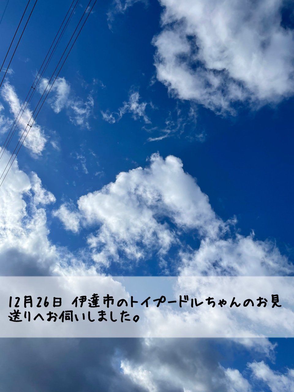 ペット訪問火葬 一縁(いちえん) | 福島市・葬儀・出張・供養