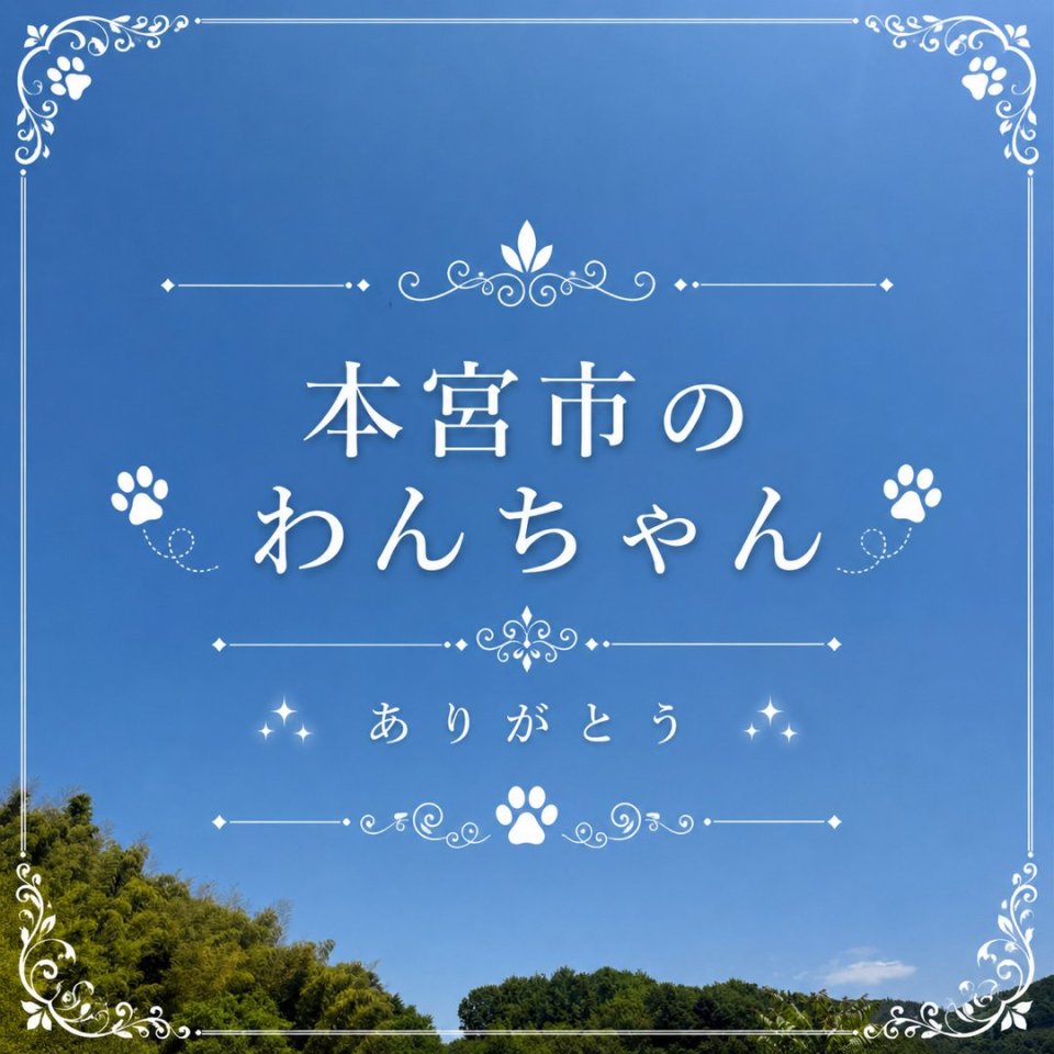 福島ペット訪問火葬 一縁(いちえん) | 葬儀・出張・供養