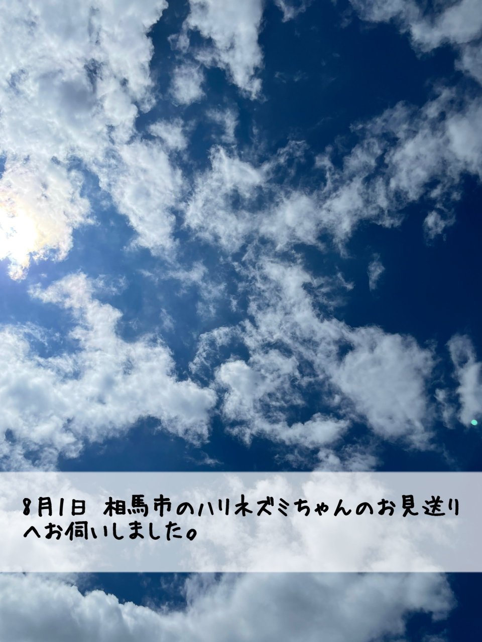 ペット訪問火葬 一縁(いちえん) | 福島市・葬儀・出張・供養