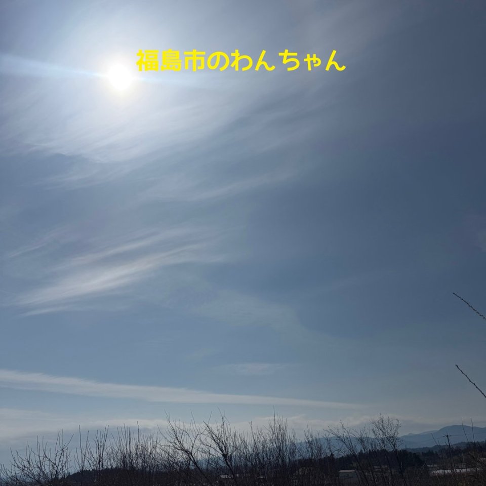 福島ペット訪問火葬 一縁(いちえん) | 葬儀・出張・供養