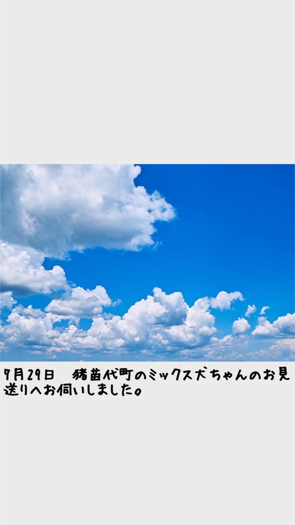 ペット訪問火葬 一縁(いちえん) | 福島市・葬儀・出張・供養