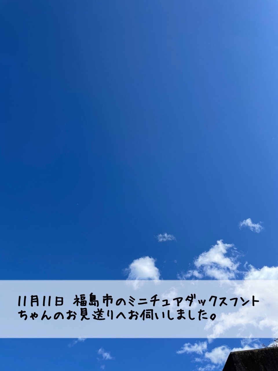 ペット訪問火葬 一縁(いちえん) | 福島市・葬儀・出張・供養
