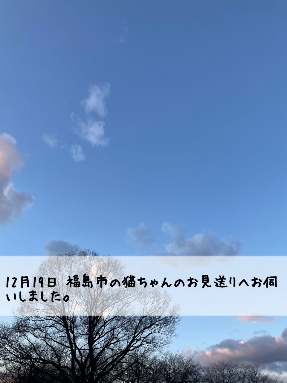 ペット訪問火葬 一縁(いちえん) | 福島市・葬儀・出張・供養