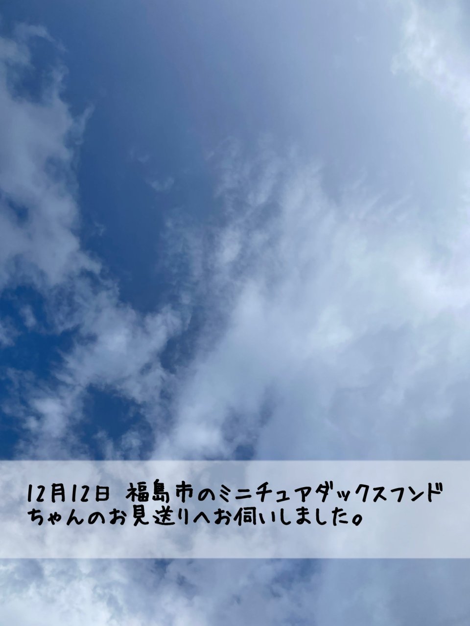 ペット訪問火葬 一縁(いちえん) | 福島市・葬儀・出張・供養