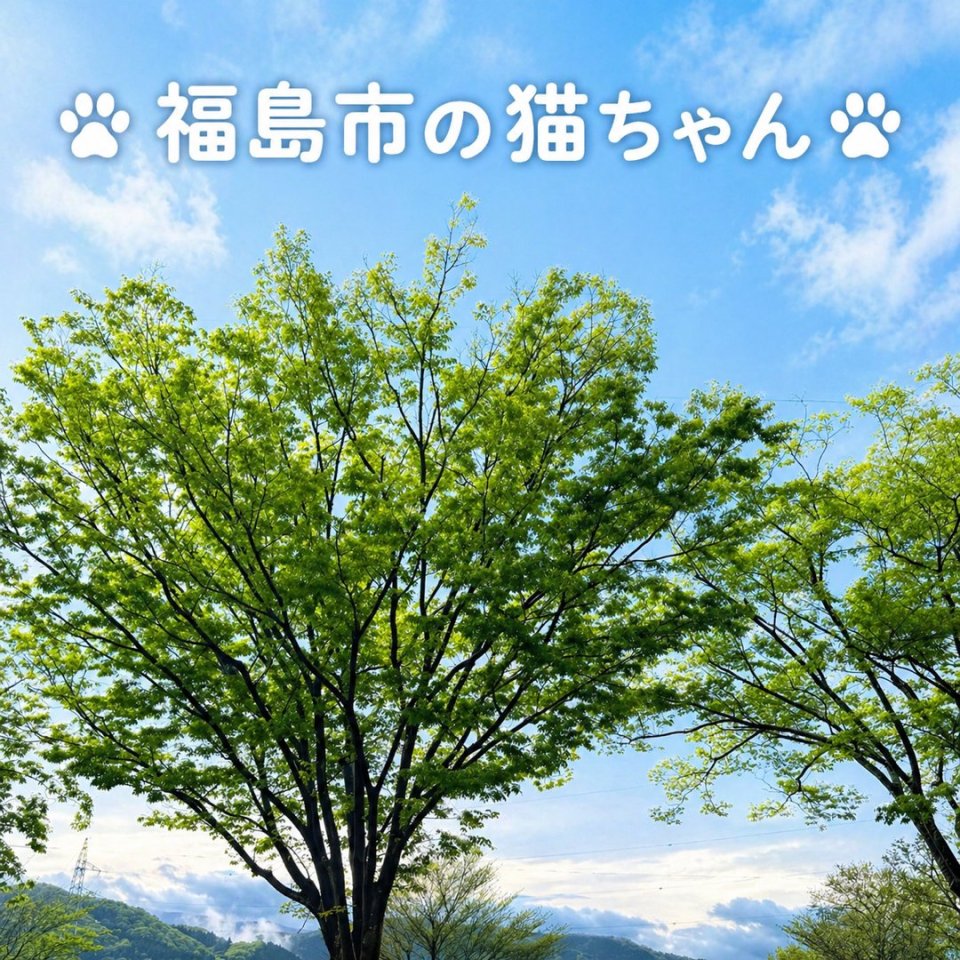 福島ペット訪問火葬 一縁(いちえん) | 葬儀・出張・供養