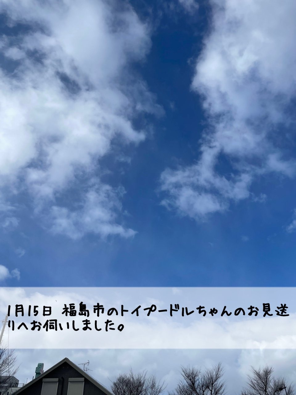 ペット訪問火葬 一縁(いちえん) | 福島市・葬儀・出張・供養