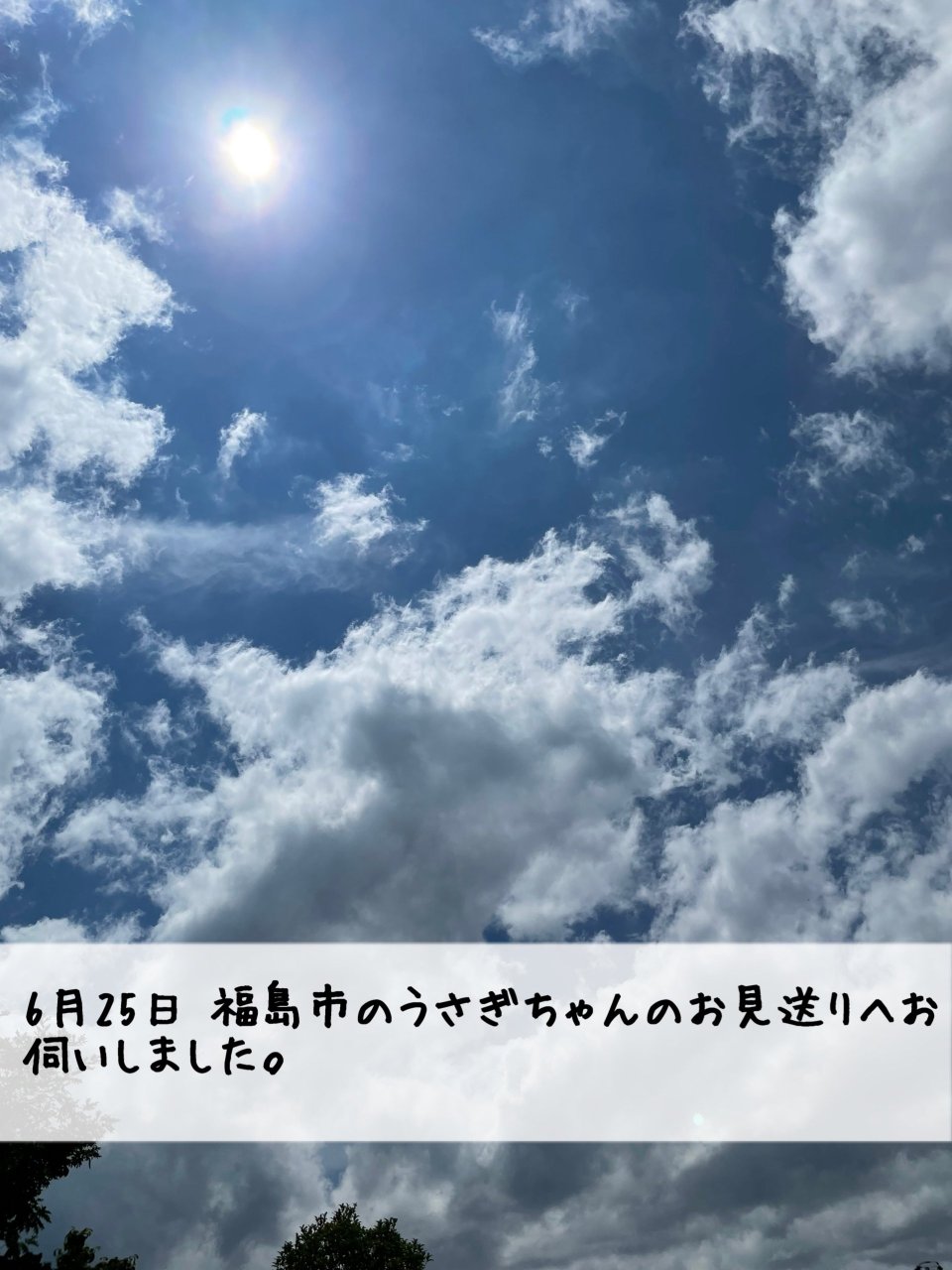 ペット訪問火葬 一縁(いちえん) | 福島市・葬儀・出張・供養