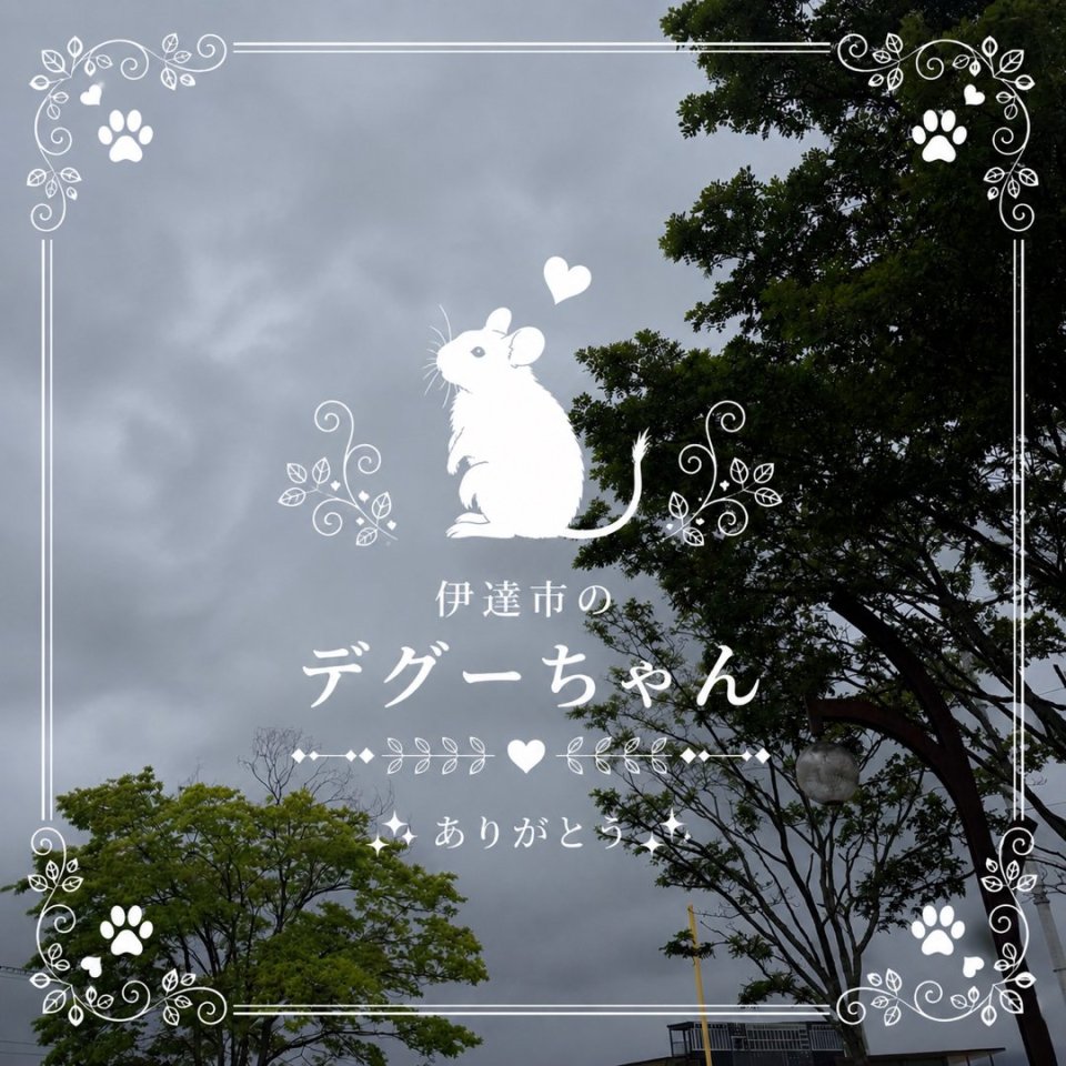 福島ペット訪問火葬 一縁(いちえん) | 葬儀・出張・供養