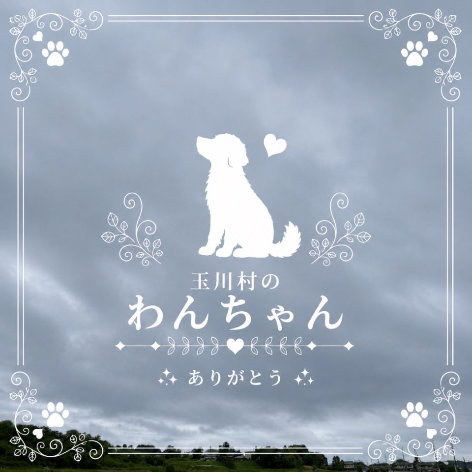 福島ペット訪問火葬 一縁(いちえん) | 葬儀・出張・供養
